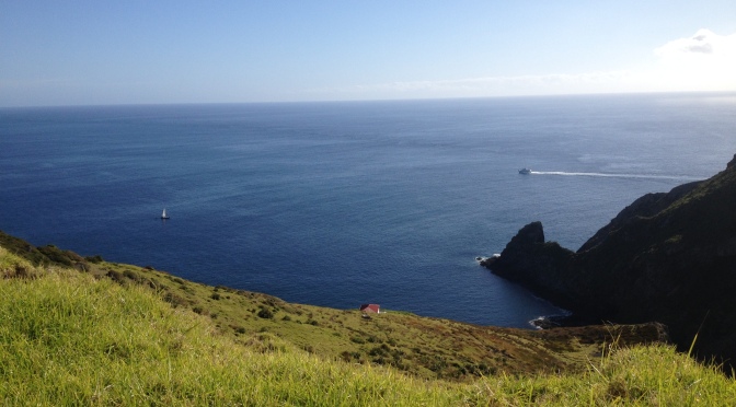 Top Te Araroa Side Trips – North to South